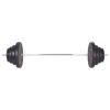 Barbell and Dumbbell Set 264.6 lb